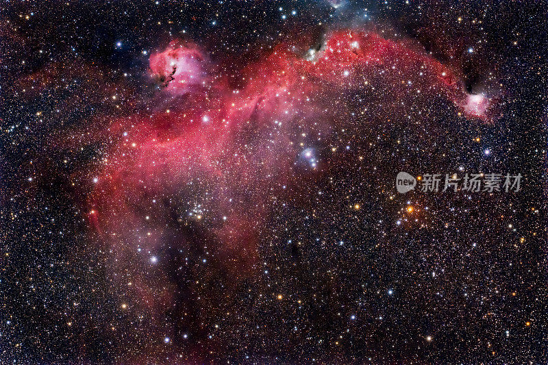 海鸥星云IC 2177 400毫米